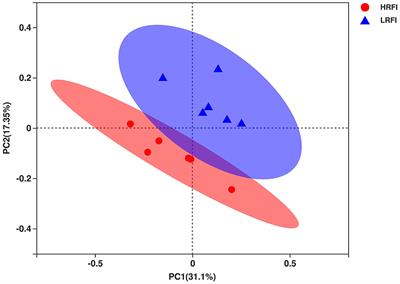 Rumen Microbiome and Metabolome of High and Low Residual Feed Intake Angus Heifers